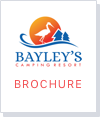 Bayley's Resort Brochure
